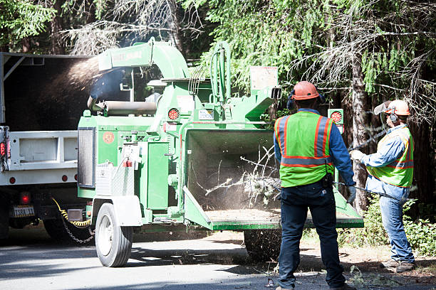 Best Aeration Services  in Bosque Farms, NM